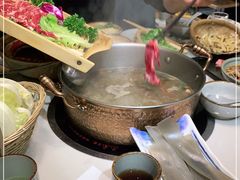 -菌子鲜汤野生菌锅