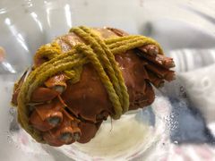 -喜洋洋蟹庄(阳澄湖店)