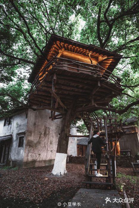 乌村图片