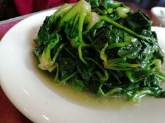 菠菜-旭龙鱼头王(航华店)