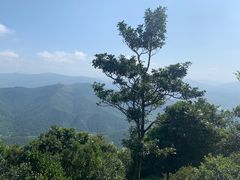 -梧桐山风景名胜区