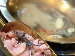 -土著渔匠·养生蝴蝶鱼(香樟路店)