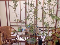 -盤古Spa泰式古法抓龙筋(鲁迅路店)