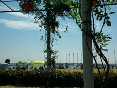 -碧海金沙
