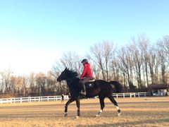 -月河湾马术俱乐部(朝阳店)