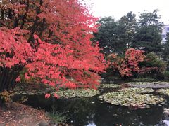 -北海道厅旧本厅舍(旧本庁舎)