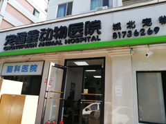 -宠福鑫动物医院(城北分院)