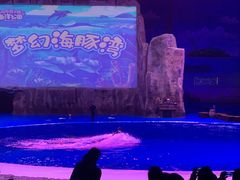 -华夏文旅海洋公园