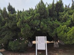 -大连旅顺潜艇博物馆