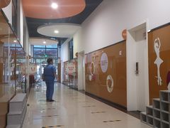 -陕西省小天鹅艺术团