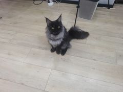 -JuneShop小众设计师品牌集合店