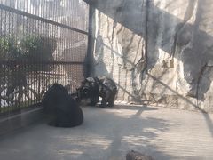 -南昌动物园