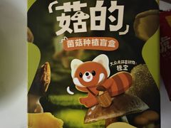 -芸山季·云南野生菌火锅(人民广场来福士店)