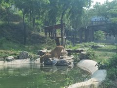 -石家庄市动物园