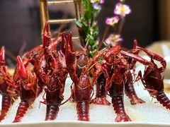 -尚海豆捞(乐虹坊店)