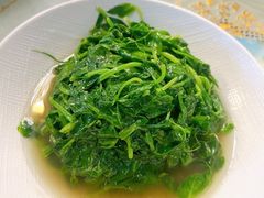 -新聚丰菜馆(太监弄店)