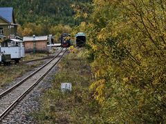 -莫尔道嘎国家森林公园