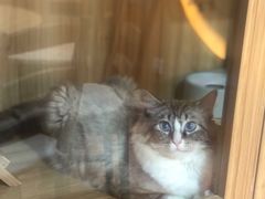 -白兔子密室(长寿路店)