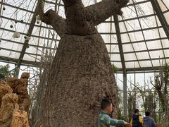 -南通洲际绿博园