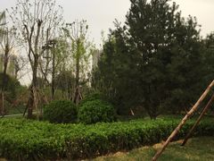 -迎泽公园