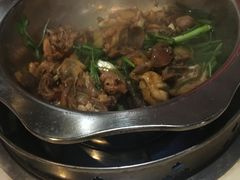 -九道菜有鸡鱼头(石鼓路店)