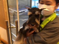 -转角宠物(转塘方家苑店)