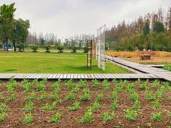 -前小桔亲子创意农场·草莓采摘·露营烧烤