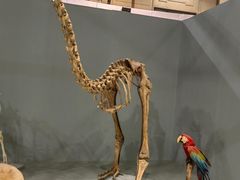 -国家自然博物馆