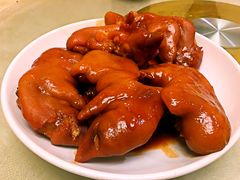 -丁老爷子苏香圆
