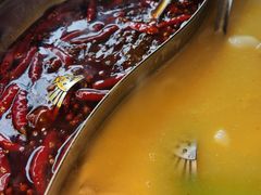 -捞围鲜·港式打边炉(海阳路店)