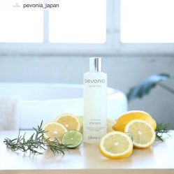点击看大图 -素可SPA