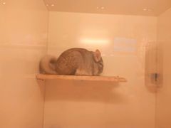 -龙猫仔乐园(惠福东路店)