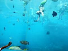 -瑞德姆美人鱼海底演艺主题餐厅(亚龙湾店)