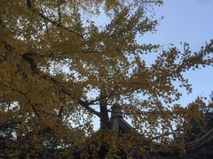 -无锡惠山寺