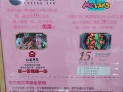 -摩天活力城·摩天轮