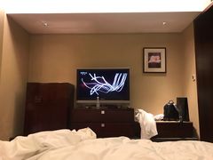 -上海龙之梦万丽酒店