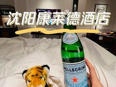 -北京康莱德酒店