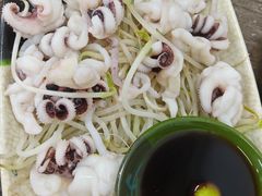 芥末海菊花-贞姨美食·老字号海鲜大排档