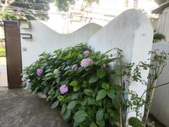 -几静cafe(基湖店)