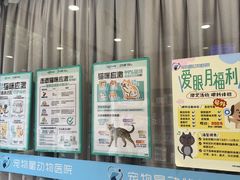 -宠物星动物医院·眼科·异宠·猫科(江南大道总院)