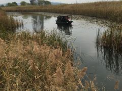 -太湖湖滨国家湿地公园-停车场