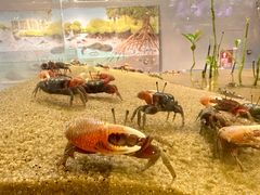 -欢乐海岸海洋奇梦馆