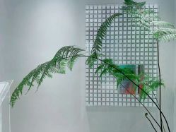 -时光海科学美肤中心