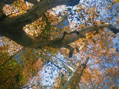 -常熟路(地铁站)