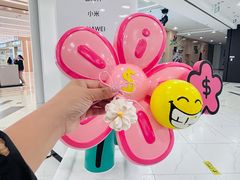 -凯德MALL(望京店)