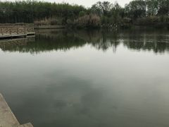 -桤木河湿地公园