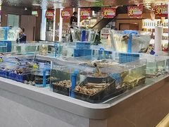 -大连湾旭日饭店(大连湾店)