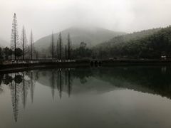 -周震馄饨