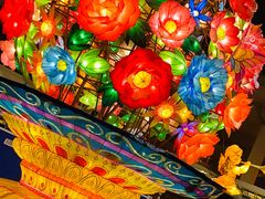 -锦江乐园舞狸花花游园会(夜场专享)