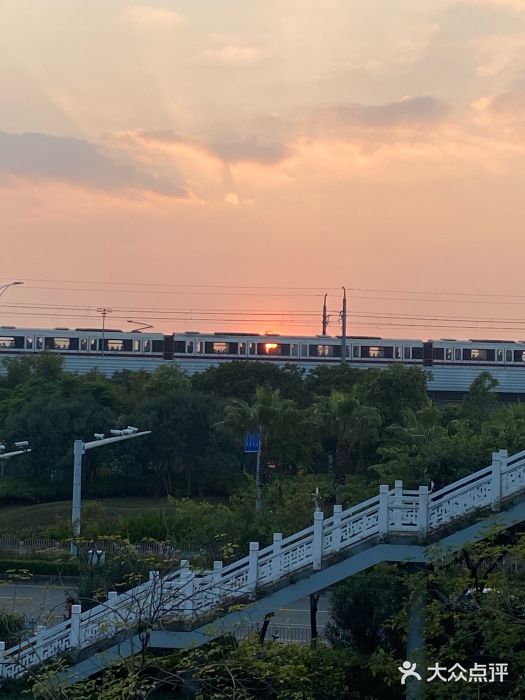 宝安西湾红树林湿地公园图片